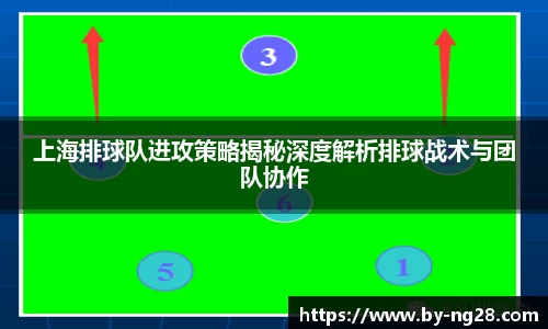 上海排球队进攻策略揭秘深度解析排球战术与团队协作